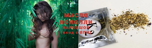 твердый Протвино