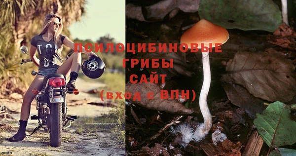 амф Абинск