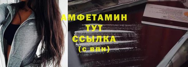 твердый Протвино