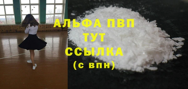 твердый Протвино