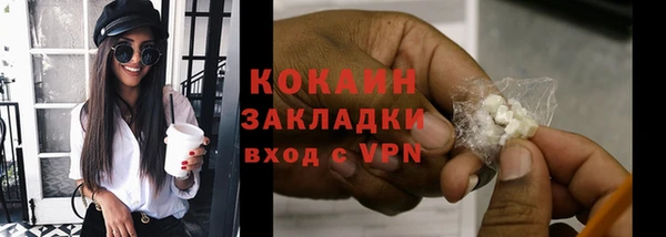 твердый Протвино