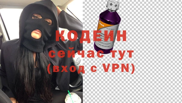 твердый Протвино