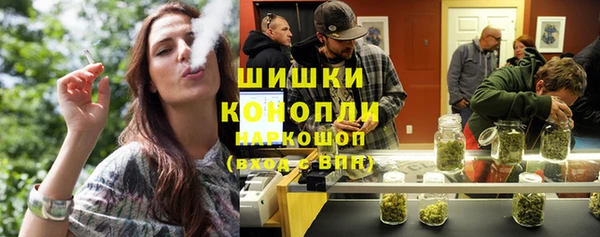 твердый Протвино