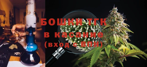твердый Протвино