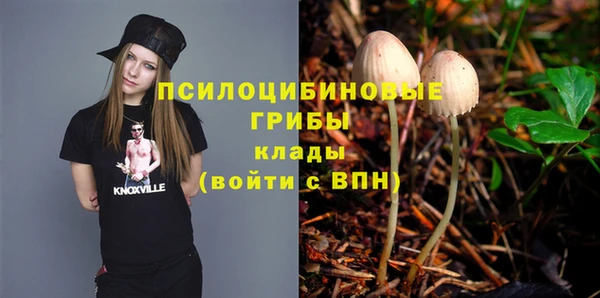 кокс Абаза